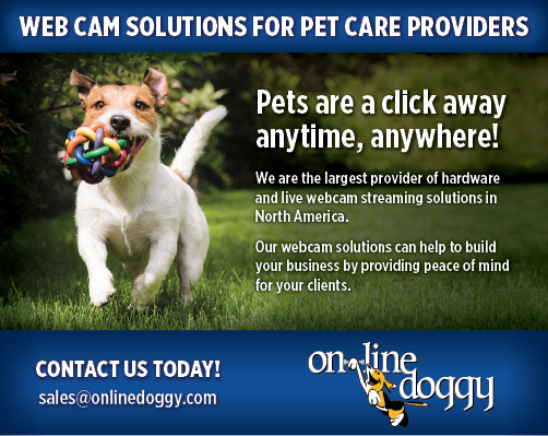 Online Doggy Advertisement