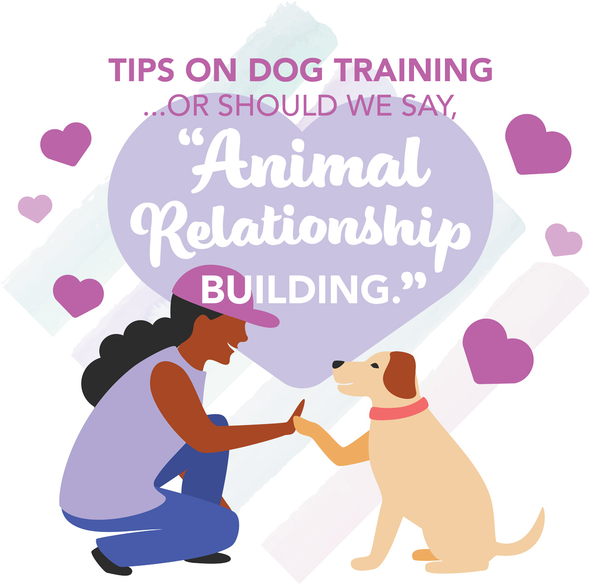 Tips on Dog Training...or Should we Say, Animal Relationship Building