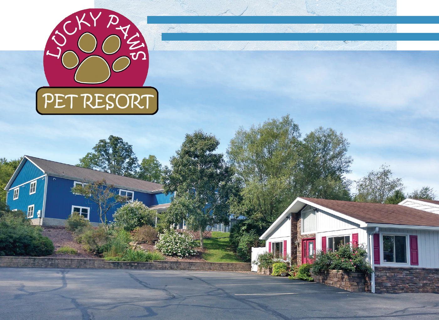 Lucky Paws Pet Resort logo and business HQ