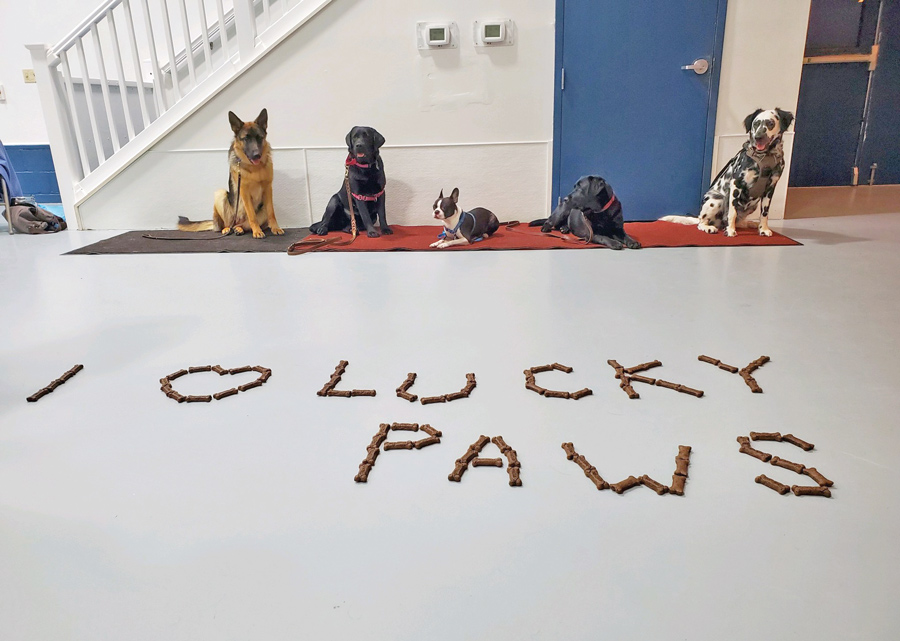 group of dogs standing behind dog treats that spell out I Love Lucky Paws