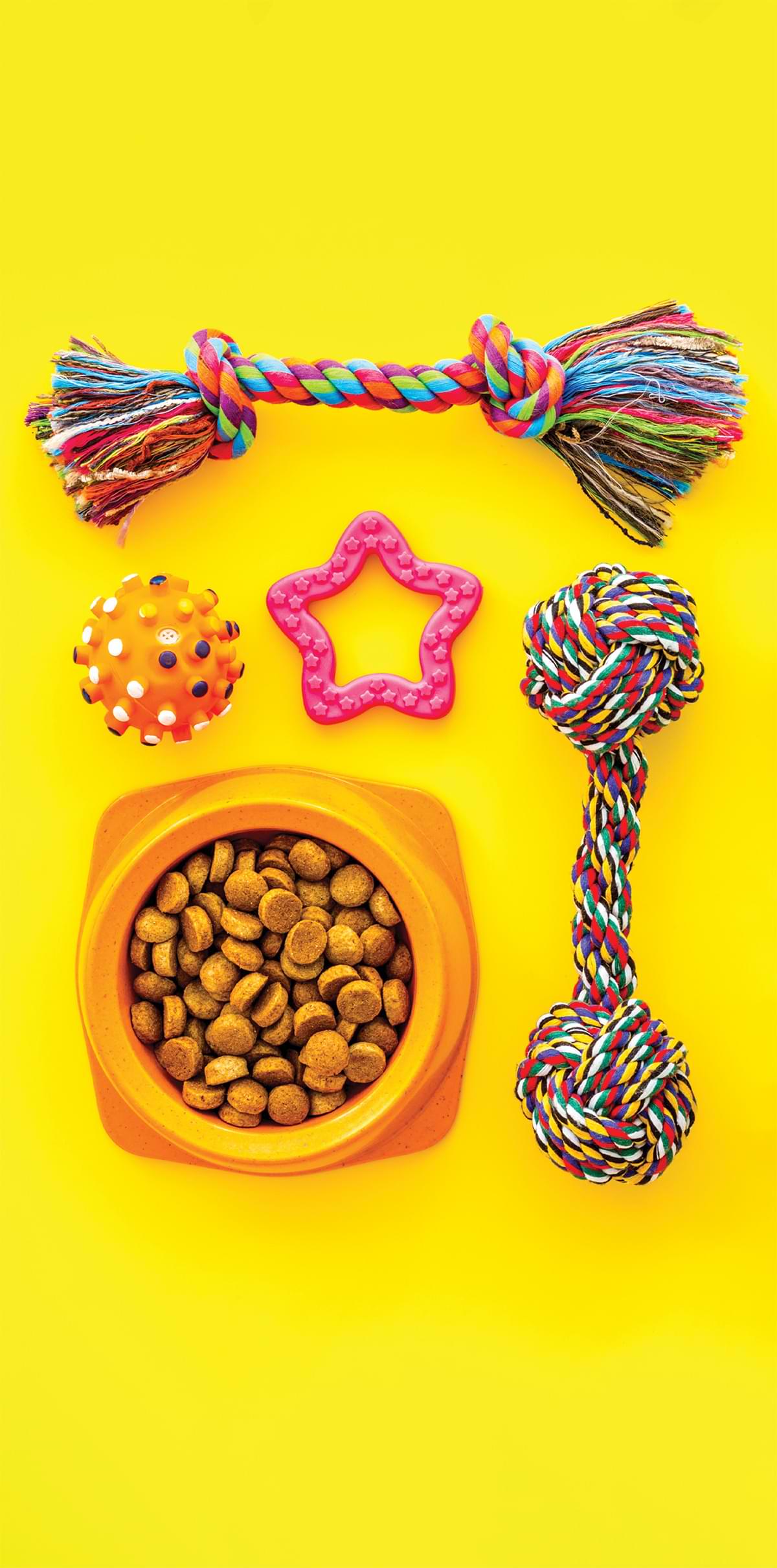 dog toys, treats, and food with a yellow background