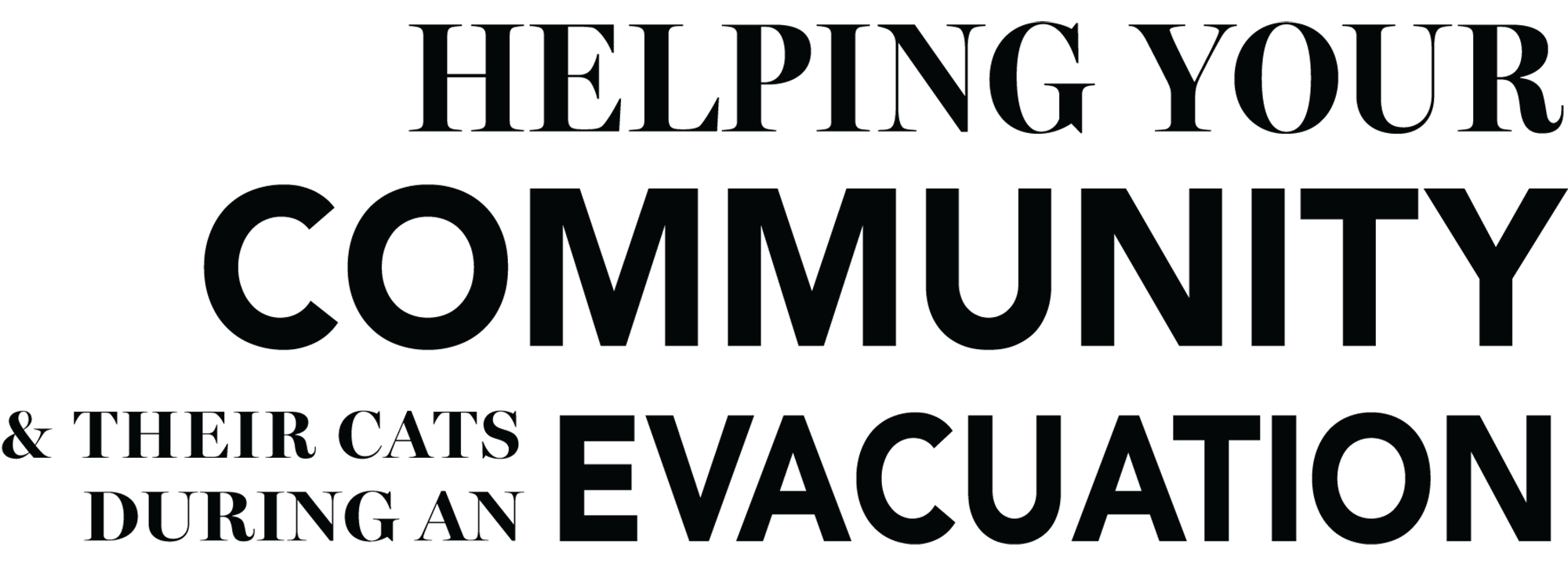 Helping Your Community & Their Cats During an Evacuation typographic title in black