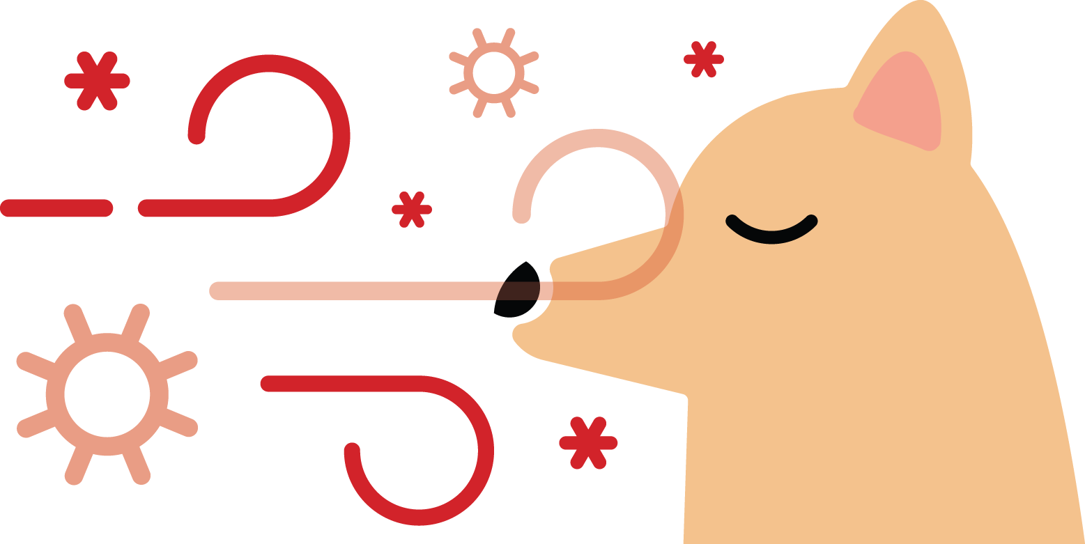Vector of bacteria filled air being blown across dog's snout