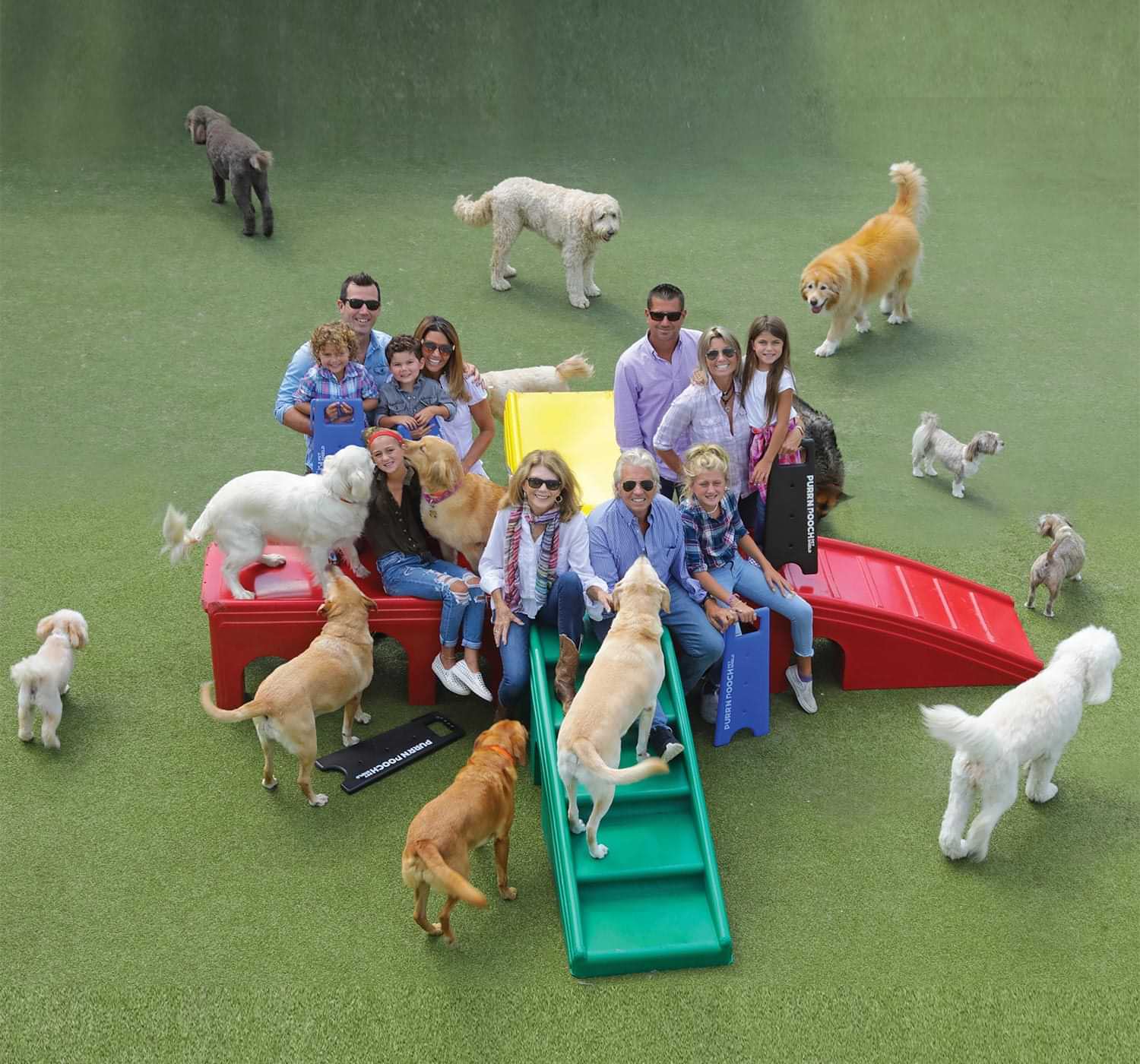 drone view of the Palazzo family grouped together on a dog Puppy Playground and surrounded by dog of various sizes