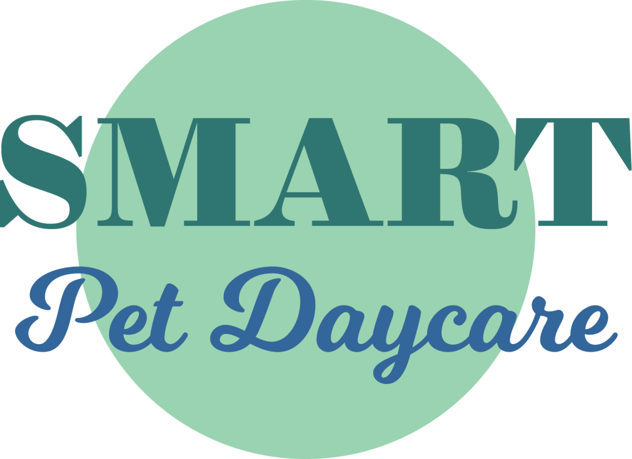 Current Trends and Future Predictions for the Pet Daycare Industry