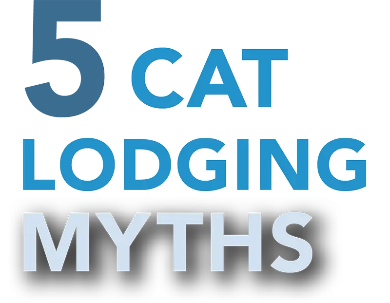 5 Cat Lodging Myths