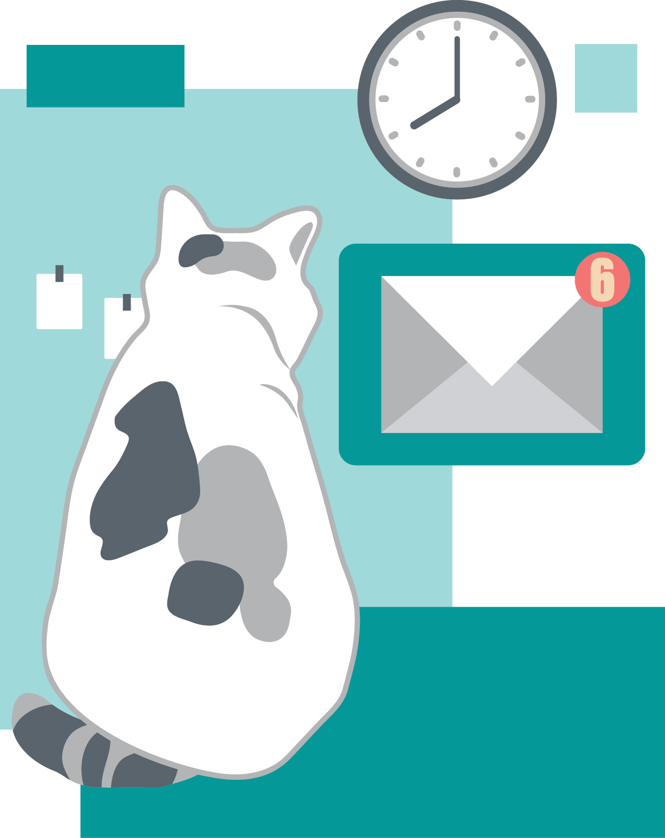 Cat looking at email notification icon and clock on wall