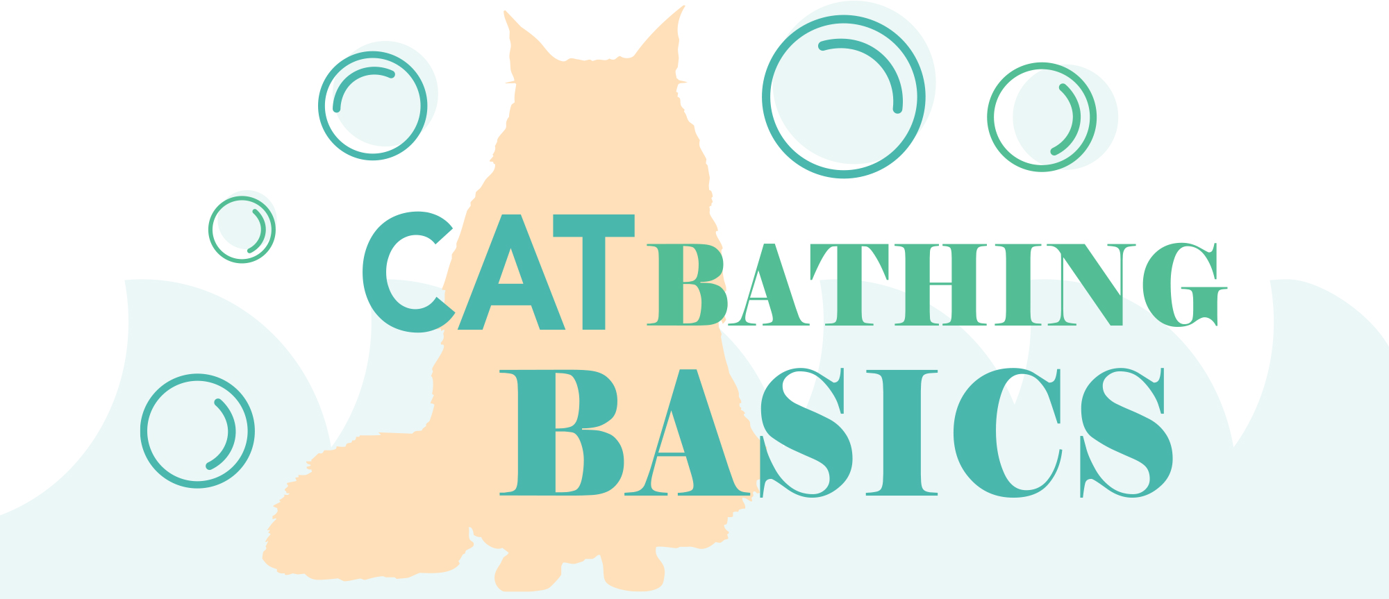 Cat Bathing Basics