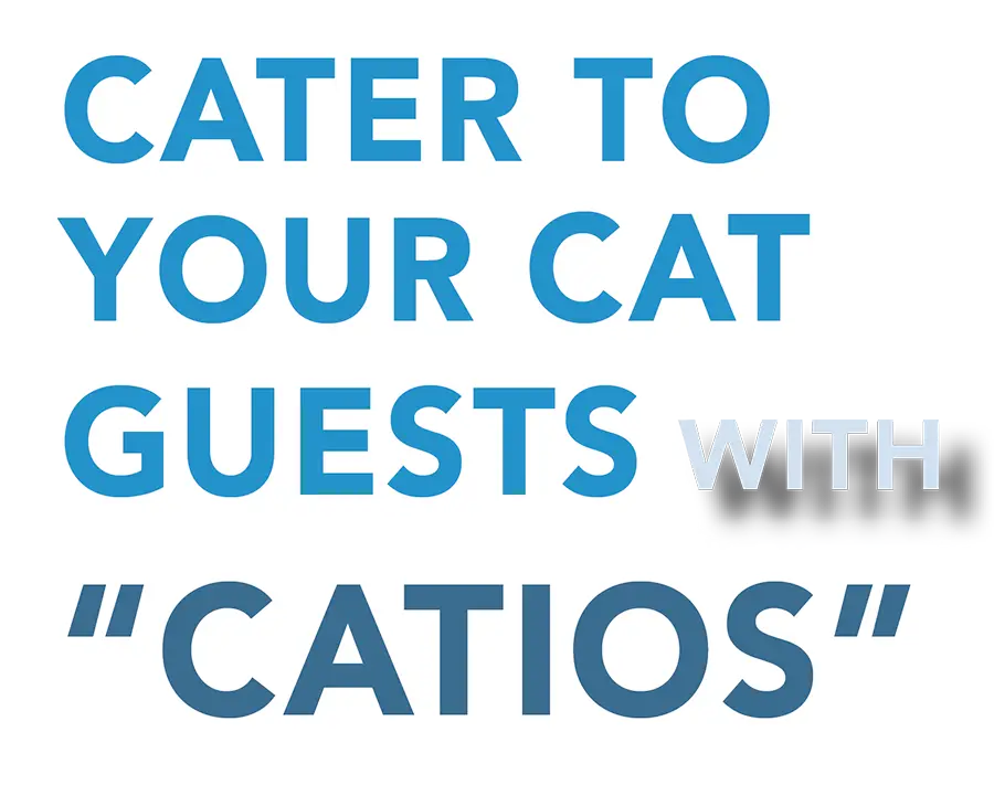Cater to your cat guests with catios