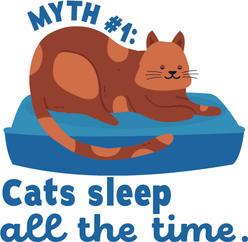 Myth #1: Cats sleep all the time