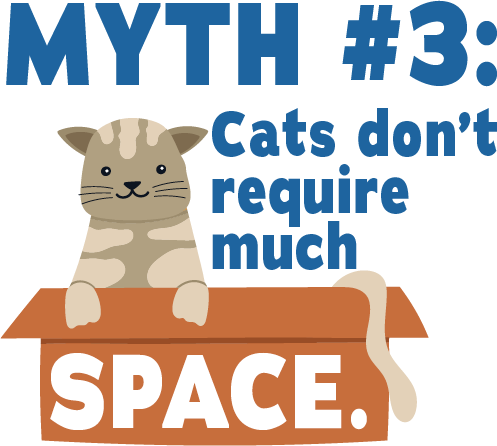Myth #3: Cats don't require much space