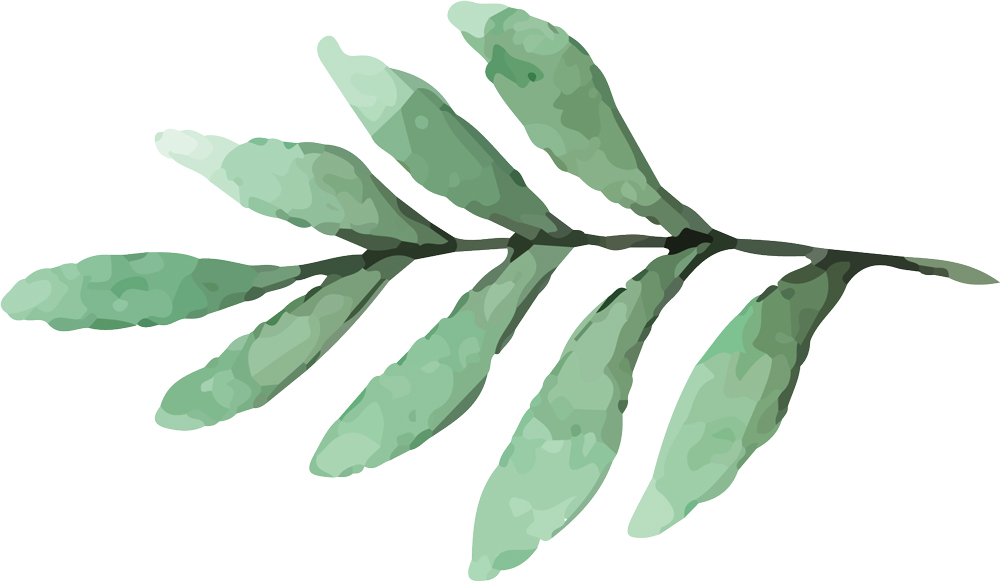 digital illustration of a plant