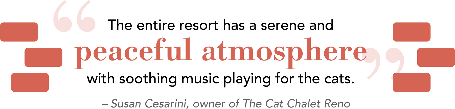 “The entire resort has a scene and peaceful atmosphere with soothing music playing for the cats.” - Susan Cesarini, owner of The Cat Chalet Reno