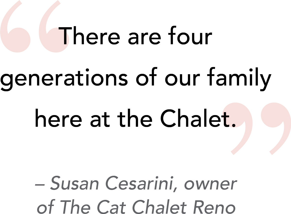 “There are four generations of our family here at the Chalet.” - Susan Cesarini, owner of The Cat Chalet Reno