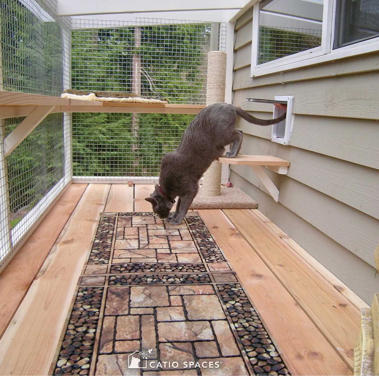 a grey cat stepping down from an exterior catdoor onto a "catio" decorated with a rug, a scratching pole and an upper ledge
