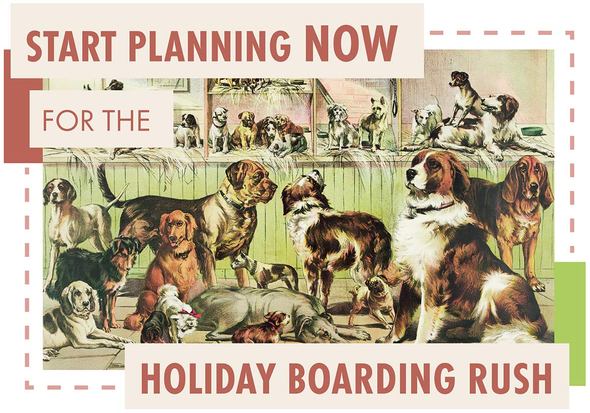 Start Planning Now for the Holiday Boarding Rush typographic title centered around an illustrative artwork frame of many dogs located in the middle