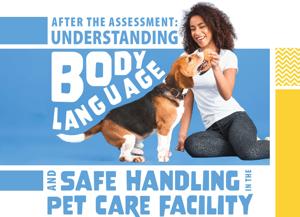 After the Assessment: Understanding Body Language and Safe Handling in the Pet Care Facility typographic title; a woman and a dog playing with a toy