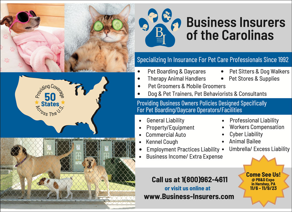 Business Insurers of the Carolinas Advertisement