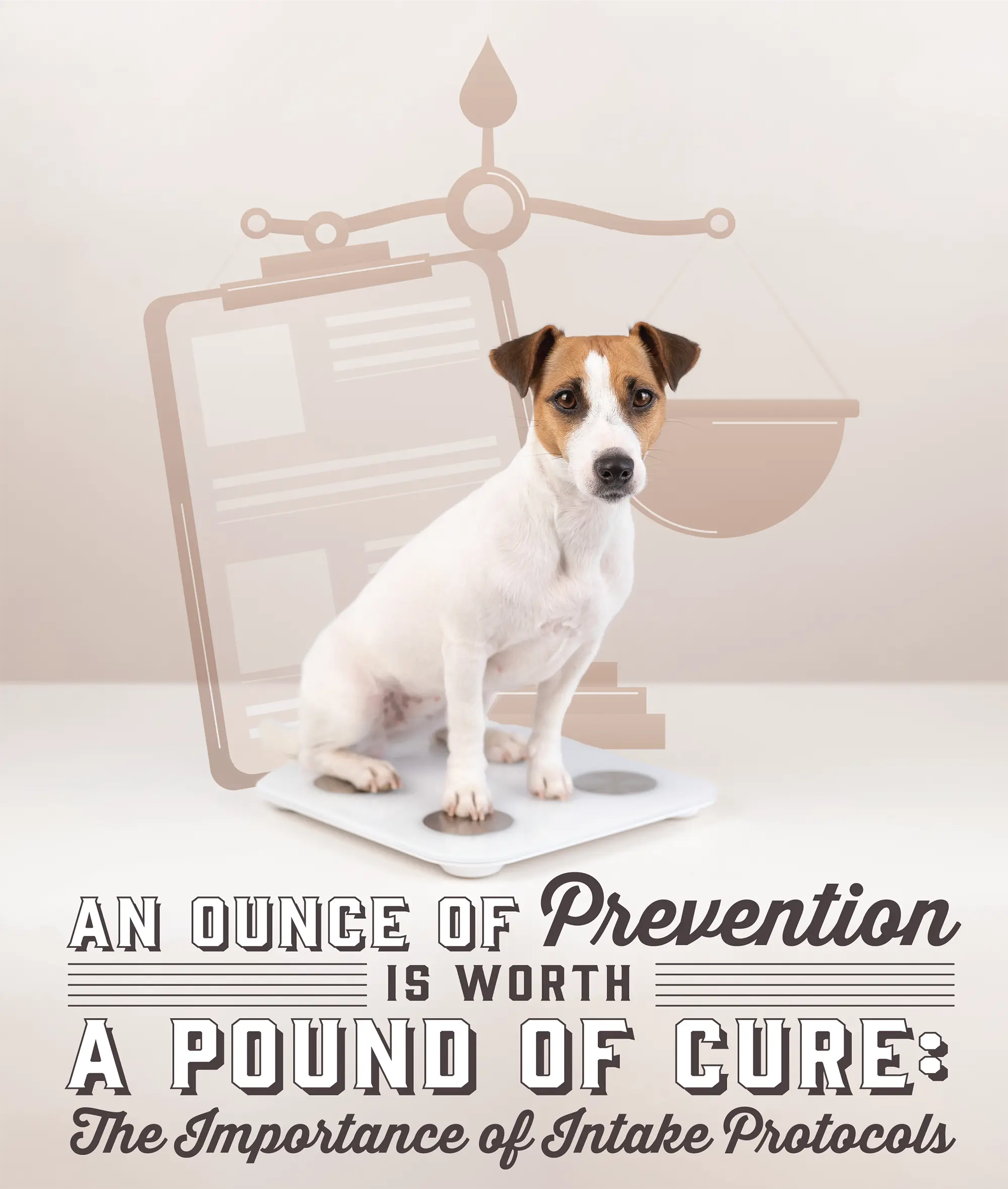 Dog on top of a small weight scale and vector minimalist illustration of a clipboard with a document and bigger weight justice scale behind the dog plus typographic title (An Ounce of Prevention is Worth A Pound of Cure: The Importance of Intake Protocols) on top of a faded light brown gradient background