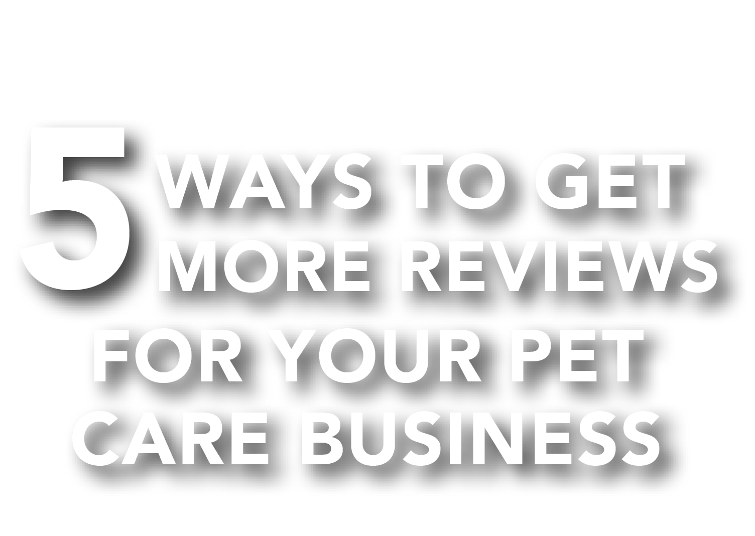 5 Ways to Get More Reviews For Your Pet Care Business