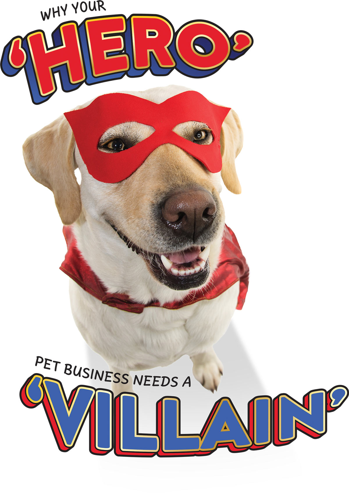 Why Your Hero Pet Business Needs a Villain