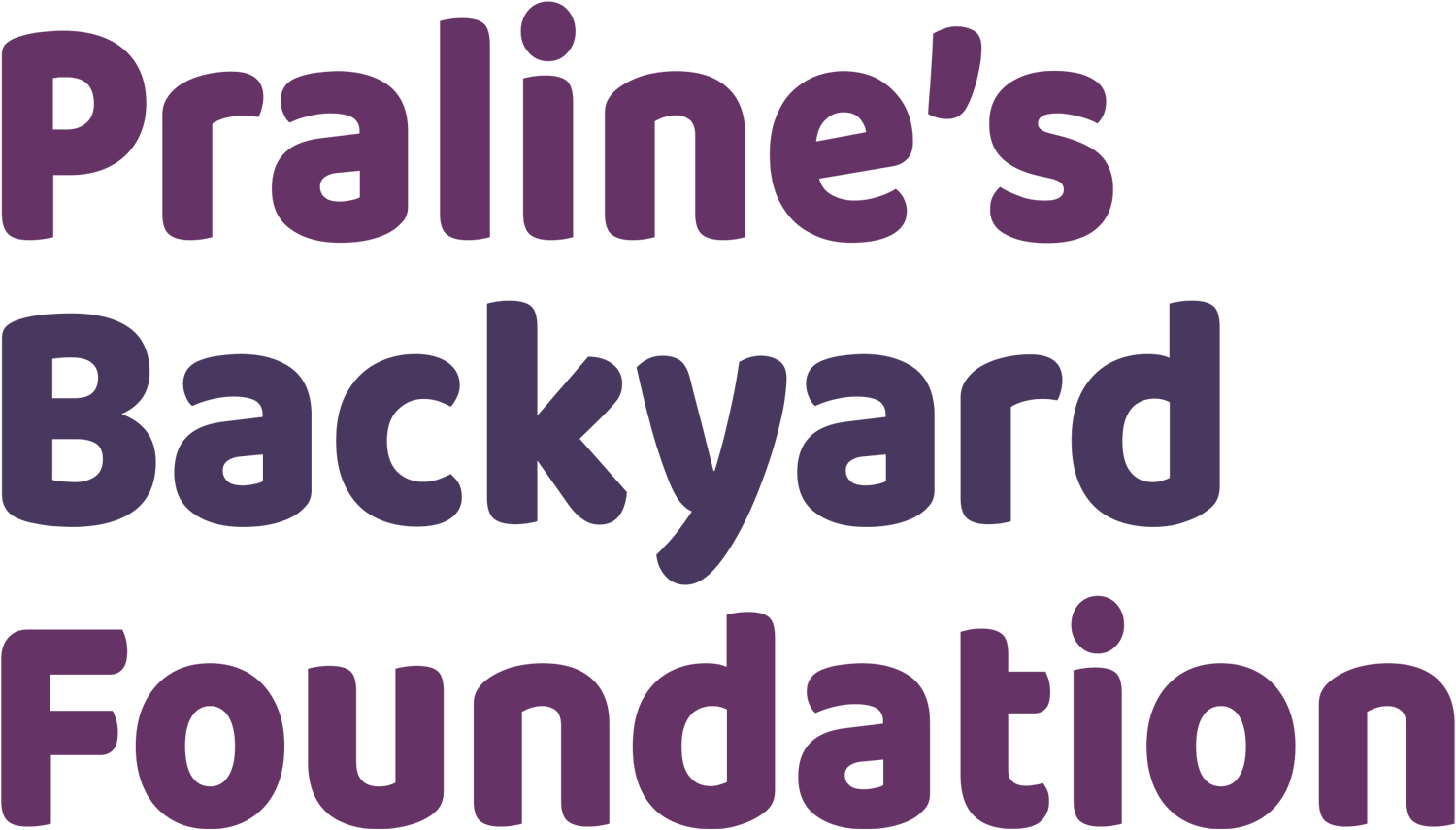 Praline's Backyard Foundation typography