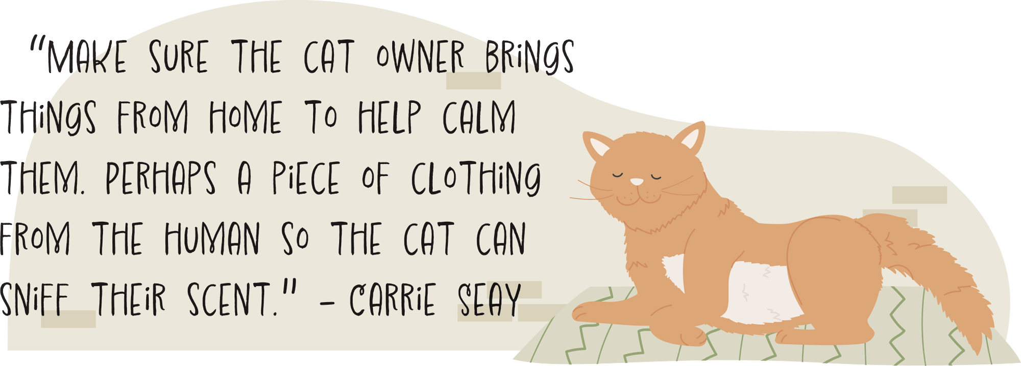 “Make sure the cat owner brings things from home to help calm them. Perhaps a piece of clothing from the human so the cat can sniff their scent." - Carrie Seay