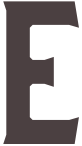 Dark brown uppercase letter E drocap