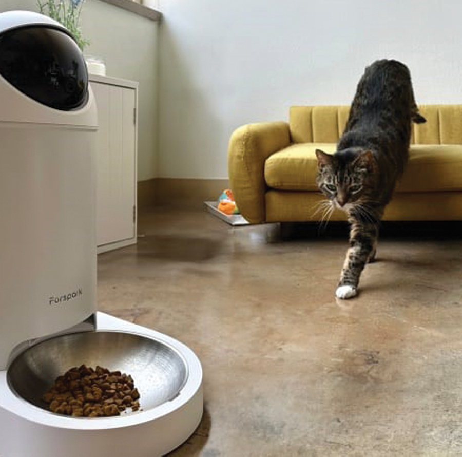 Cat walking to Furspark pet feeder