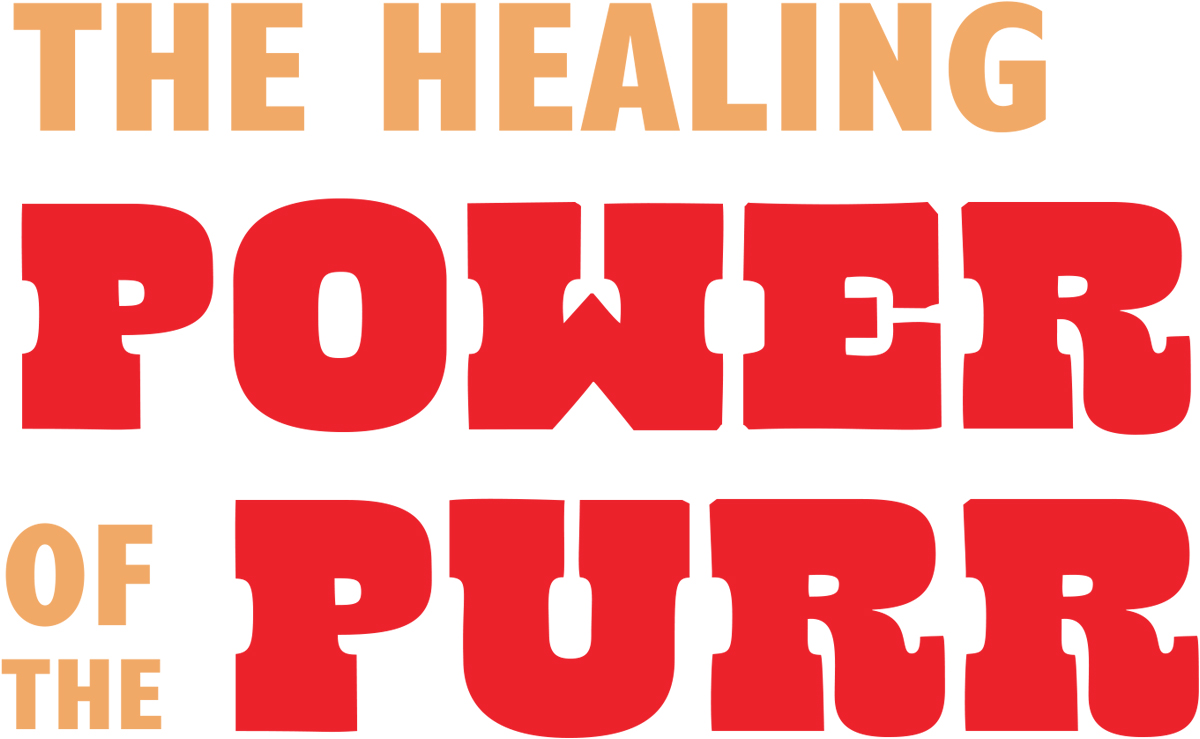 The Healing Power of Purr typography