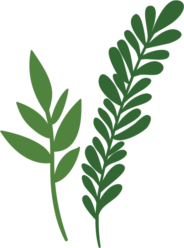 leafy graphics