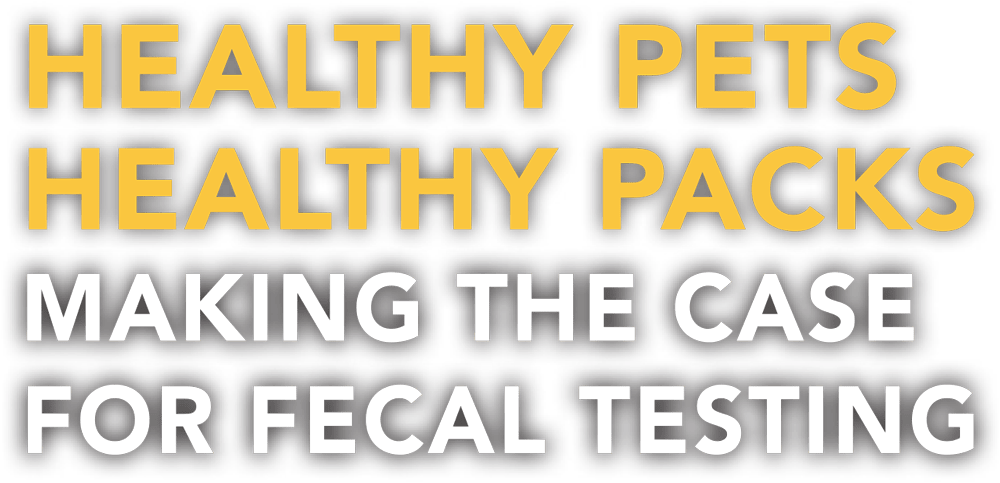 Healthy Pet, Healthy Packs: Making the Case for Fecal Testing typography