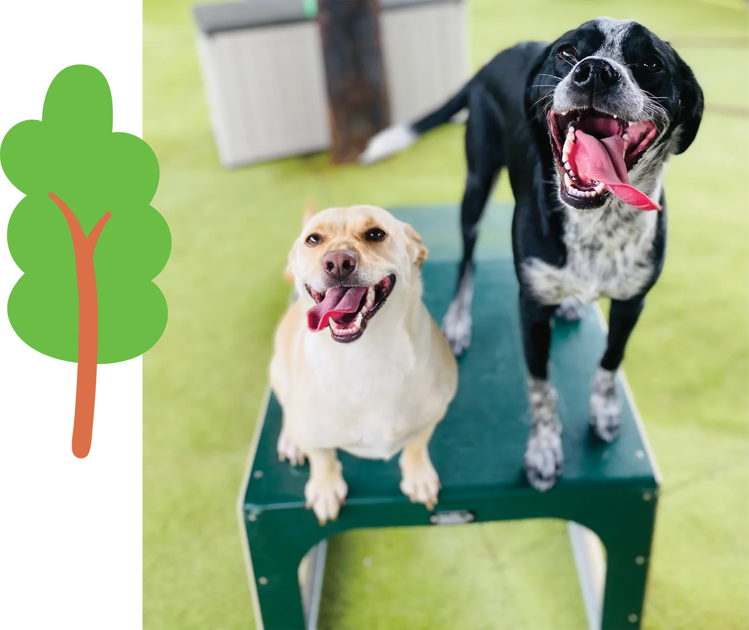 two dogs with their tongues out while standing on a ledge; clipart tree
