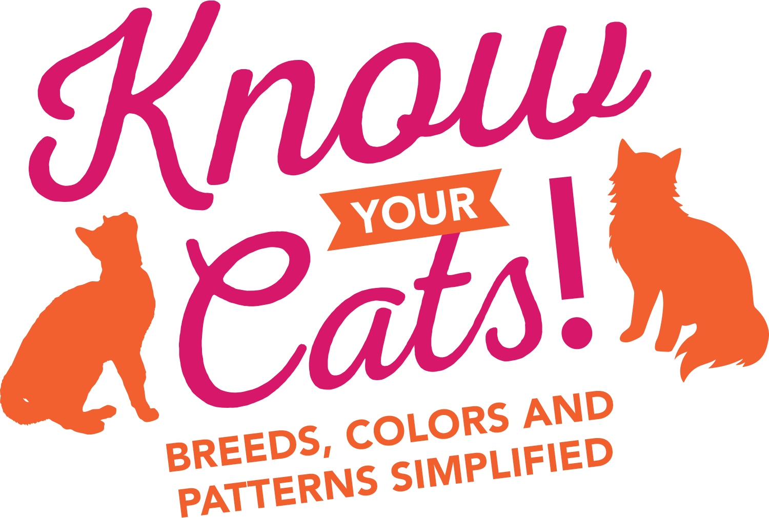 Know Your Cats! Breeds, Colors and Patterns Simplified