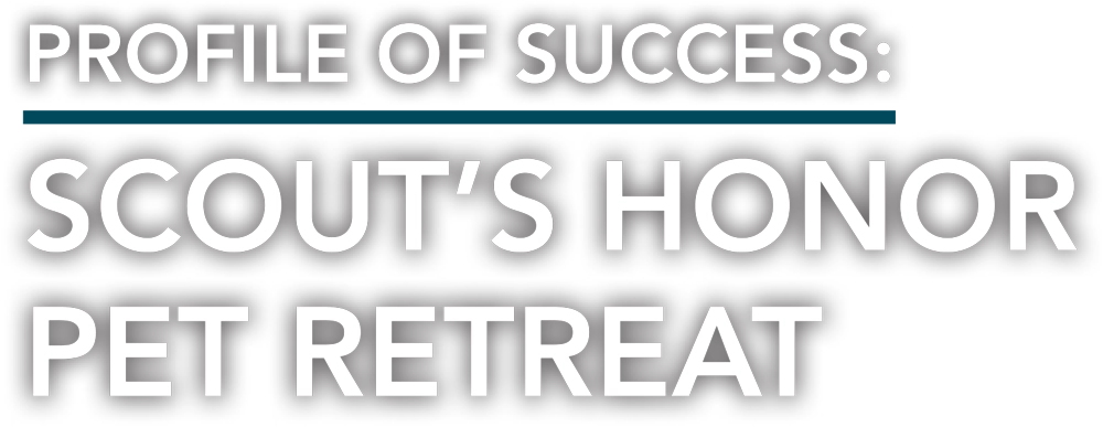 Profile of Success: Scout's Honor Pet Retreat typography