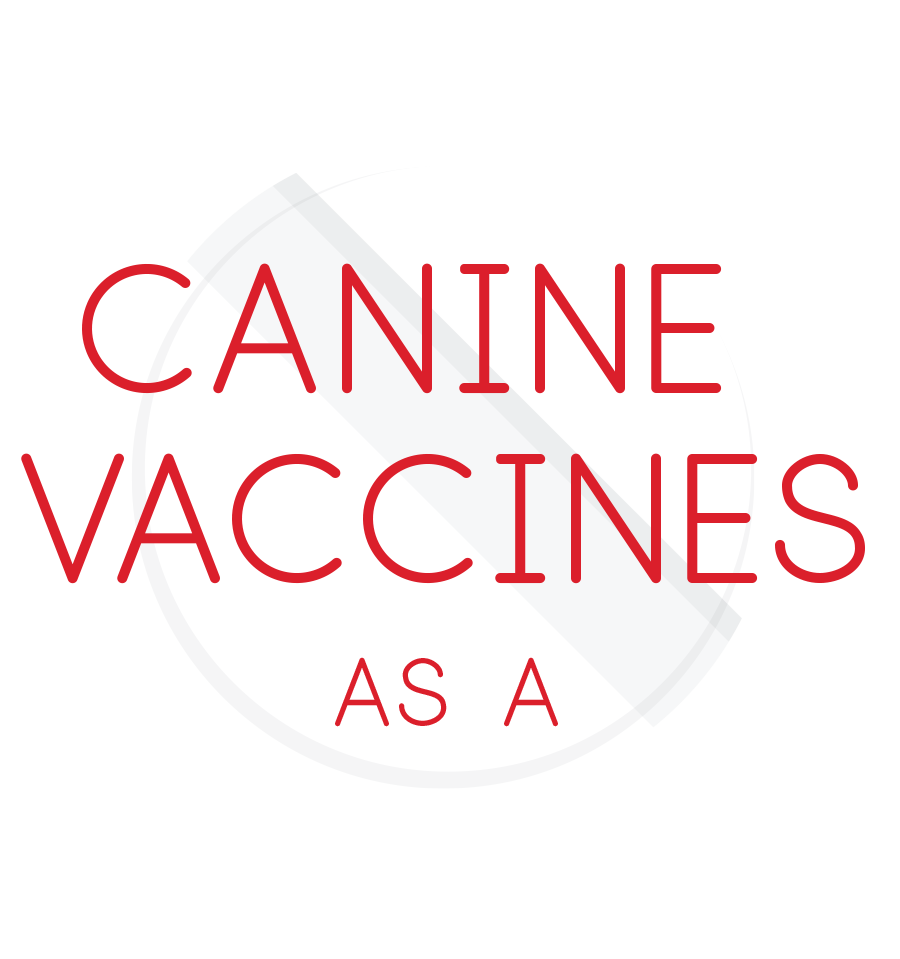 Understanding Canine Vaccines as a Pet Care Professional
