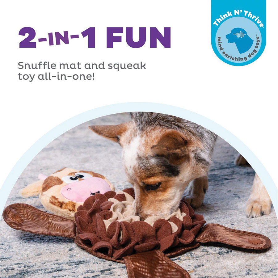 Outward Hound Think N' Thrive Plush Treat Puzzles product model image