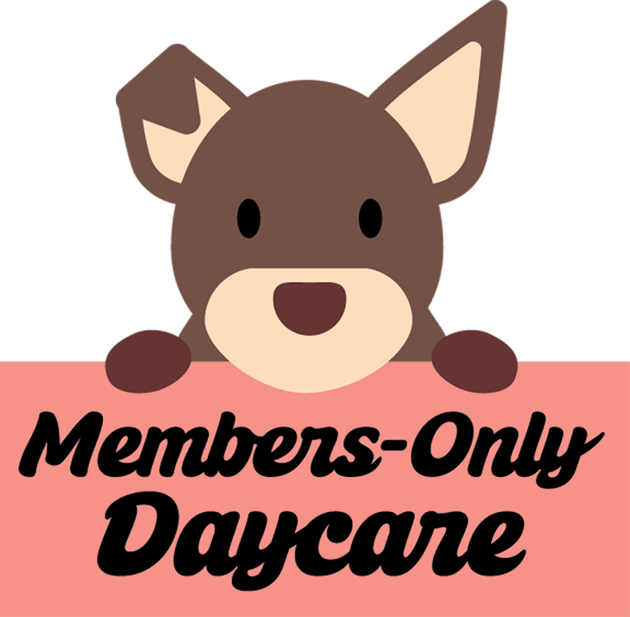 Members-Only Daycare typography with a vector illustration of a brown dog