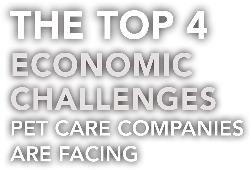 The Top 4 Economic Challenges Pet Care Companies Are Facing typography