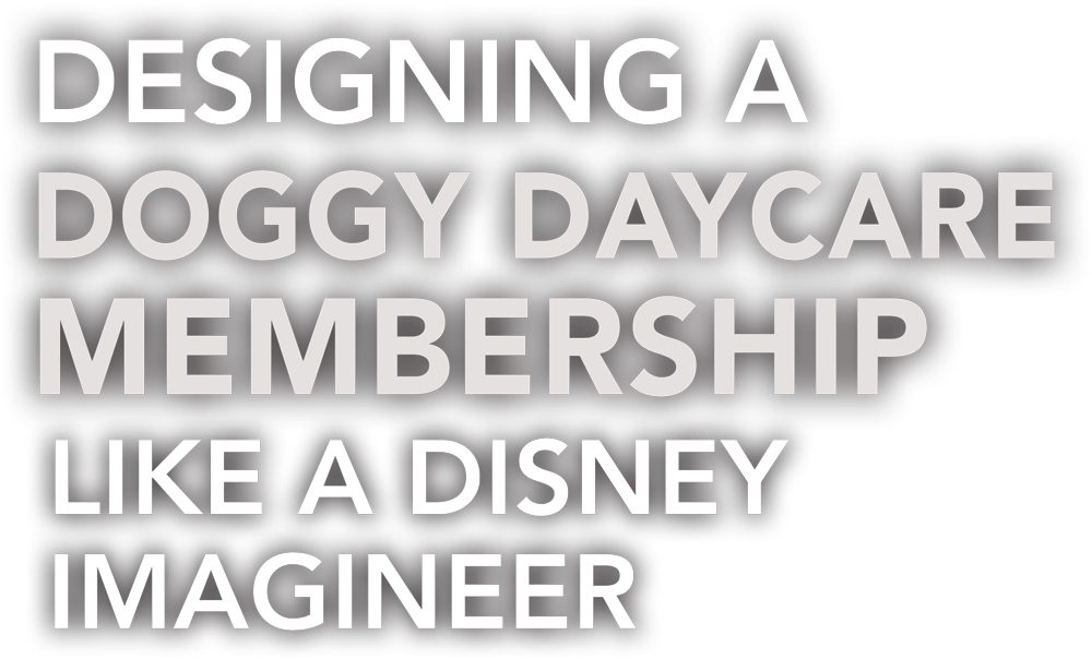Designing a Doggy Daycare Membership Like a Disney Imagineer typography