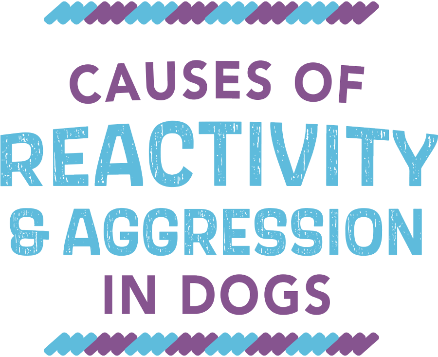 Causes of Reactivity and Aggression in Dogs styled typography
