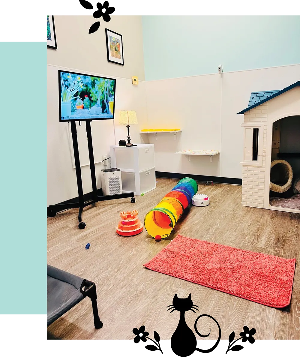 cat playroom with shelves, a tunnel, a rug, and a TV screen