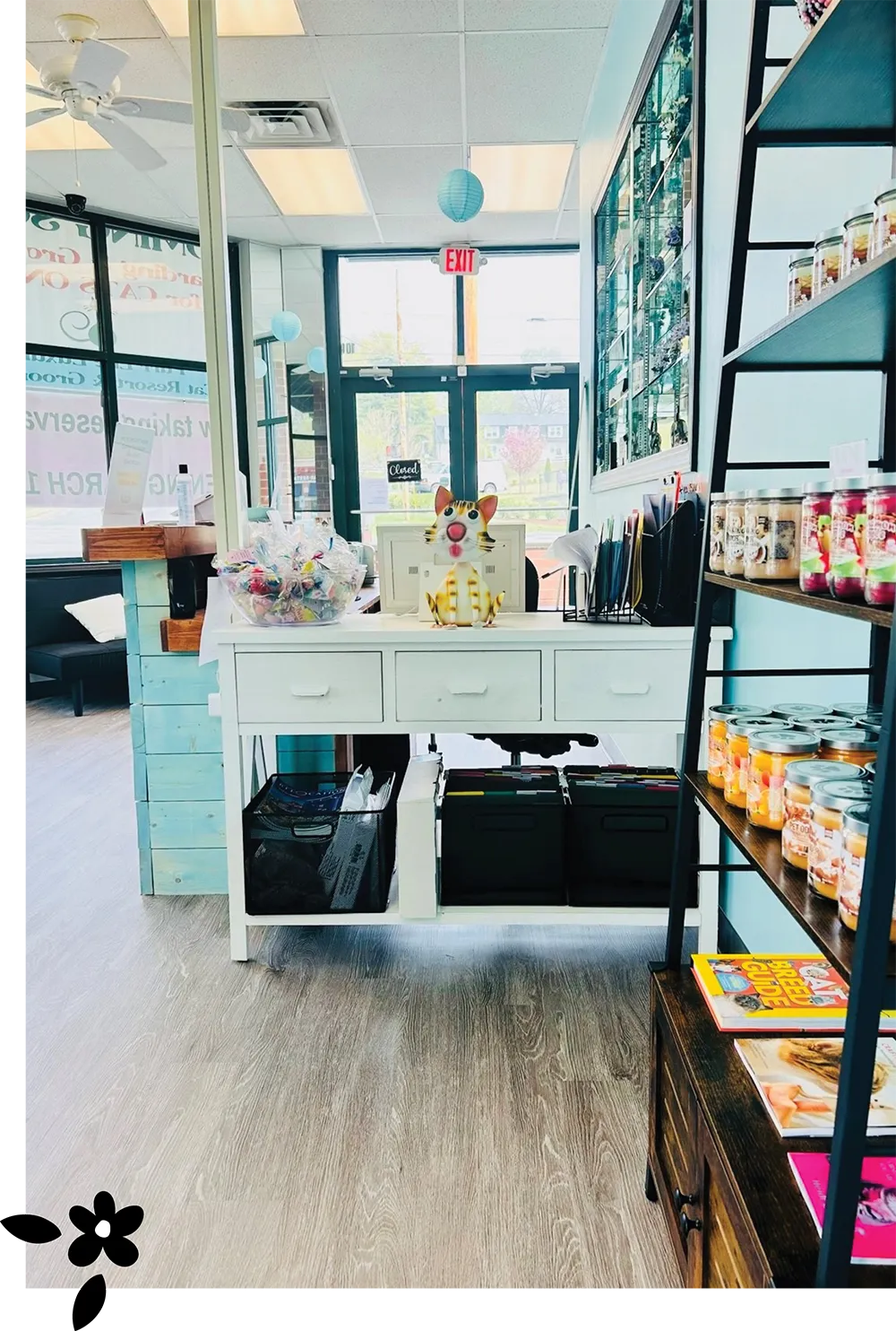 shelf filled with jars inside a luxury cat resort and groomer