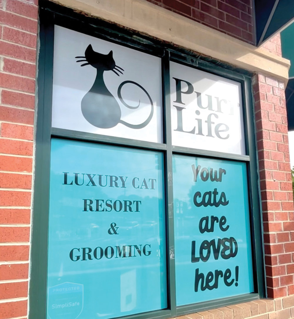 window outside of Purr Life Luxury Resort & Grooming