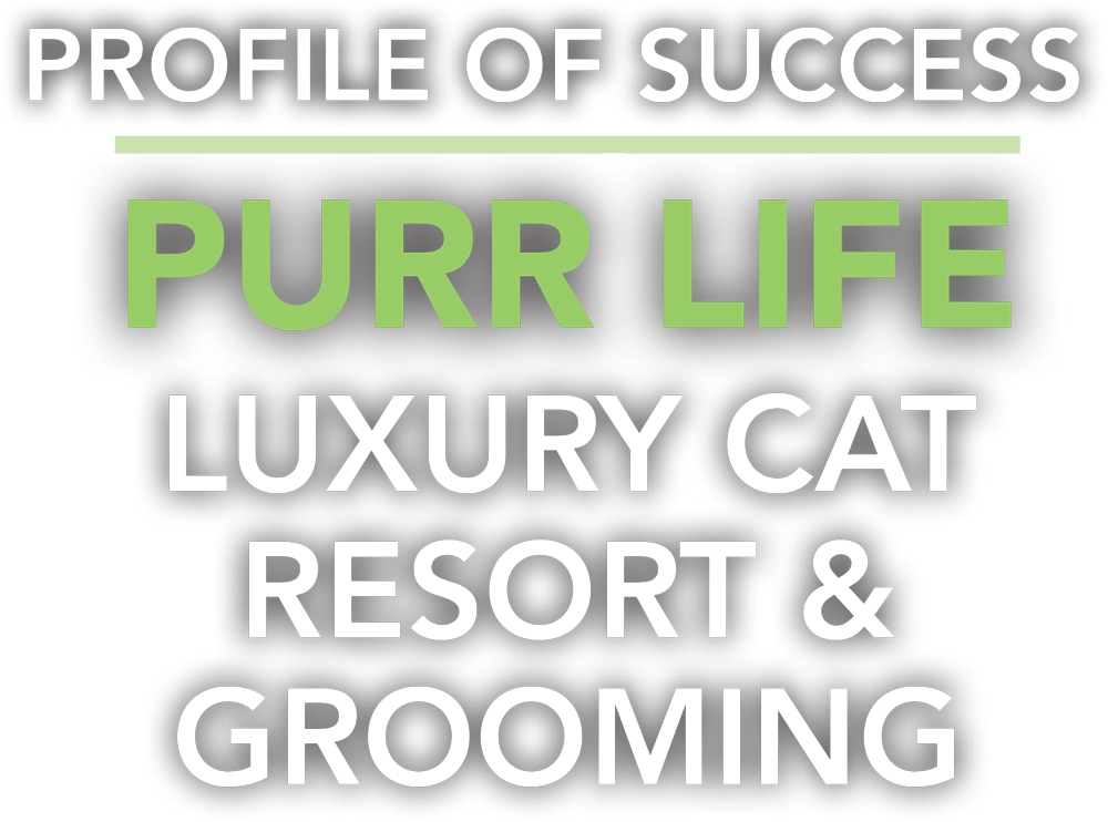 Profile of Success: Purr Life Luxury Cat Resort & Grooming typography