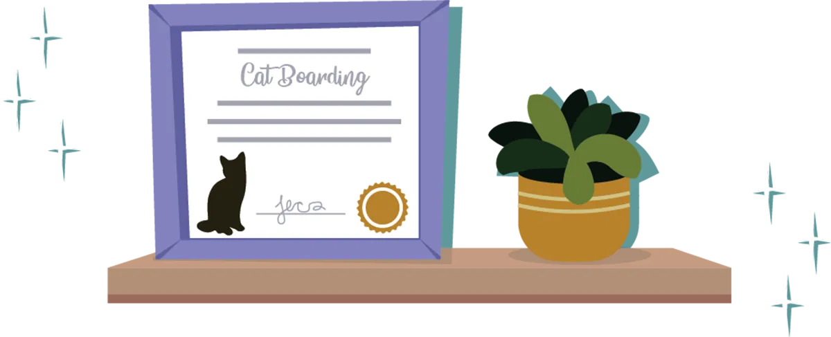 digital illustration of a cat boarding certificate beside a plant on a wooden shelf