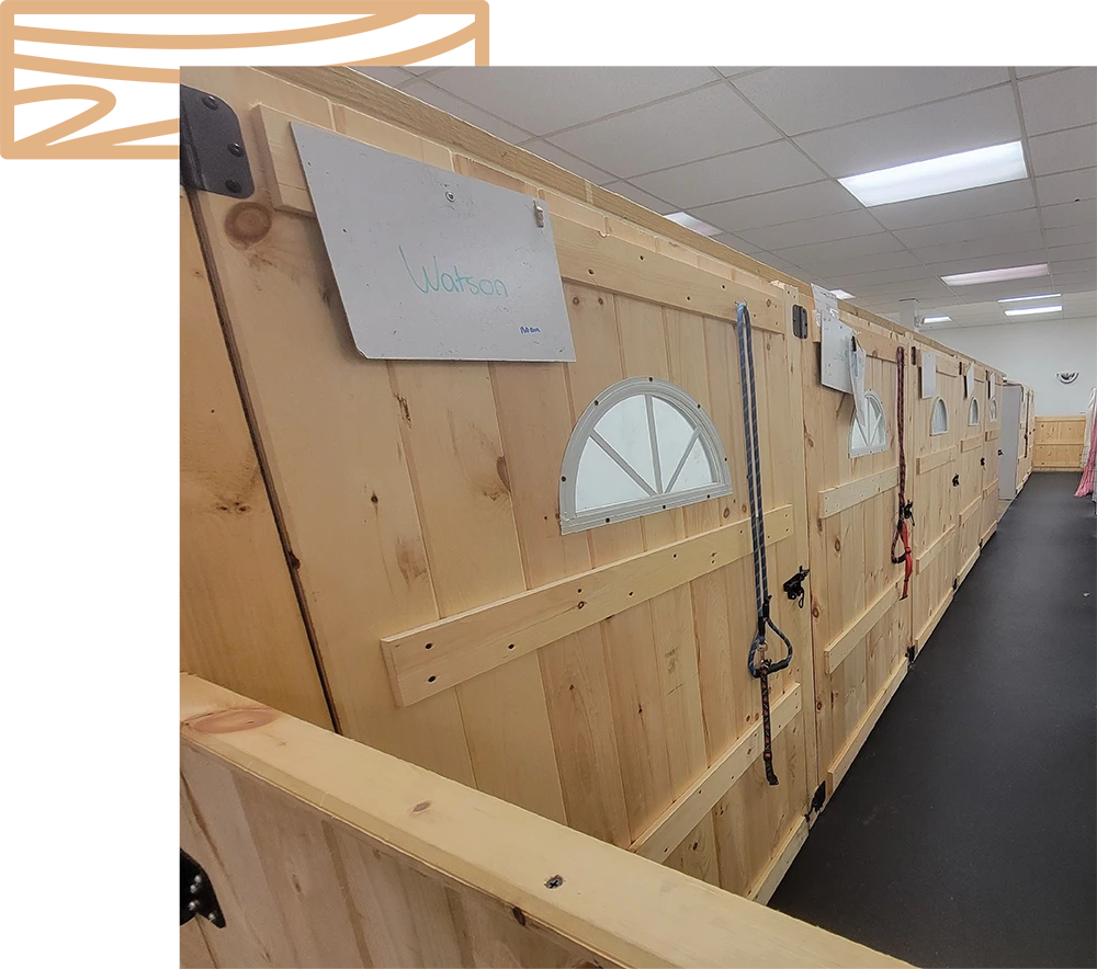 Row of wooden horse stalls with semicircular windows and white signs.