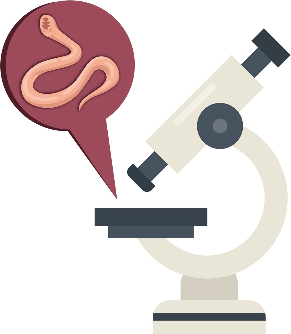 illustration of a microscope with a fecal parasite specimen