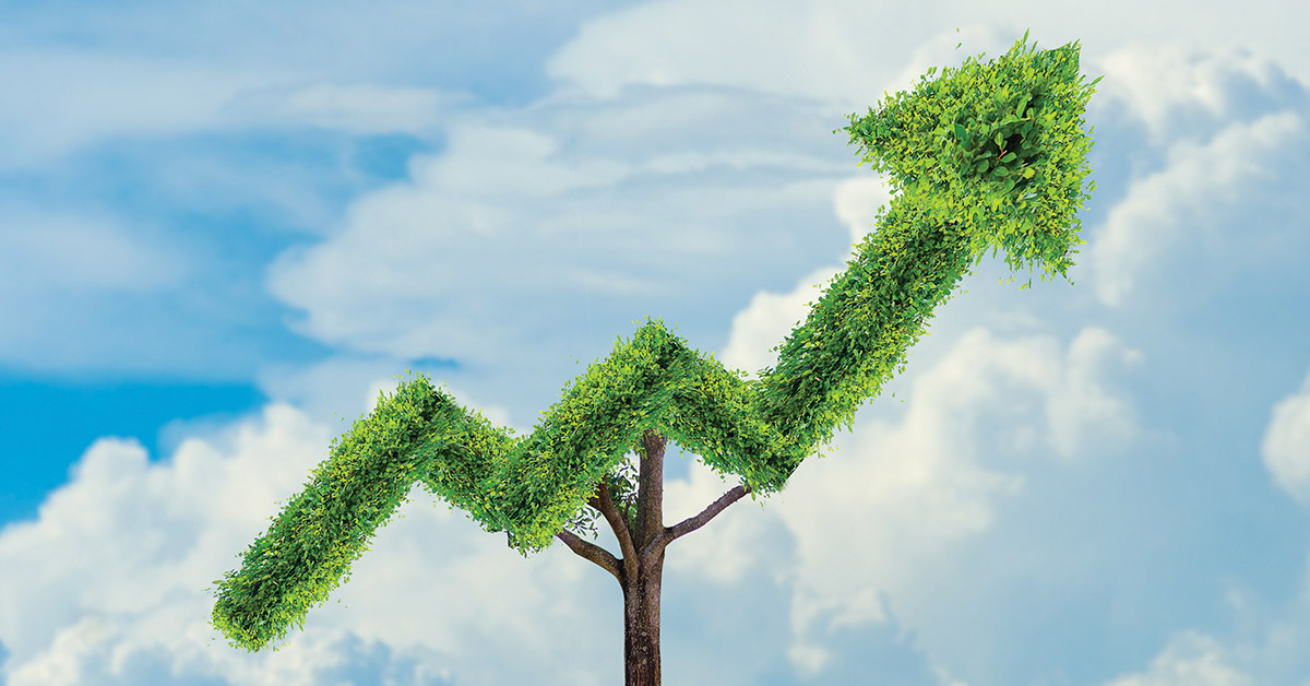 Specializing Your Way to More Growth