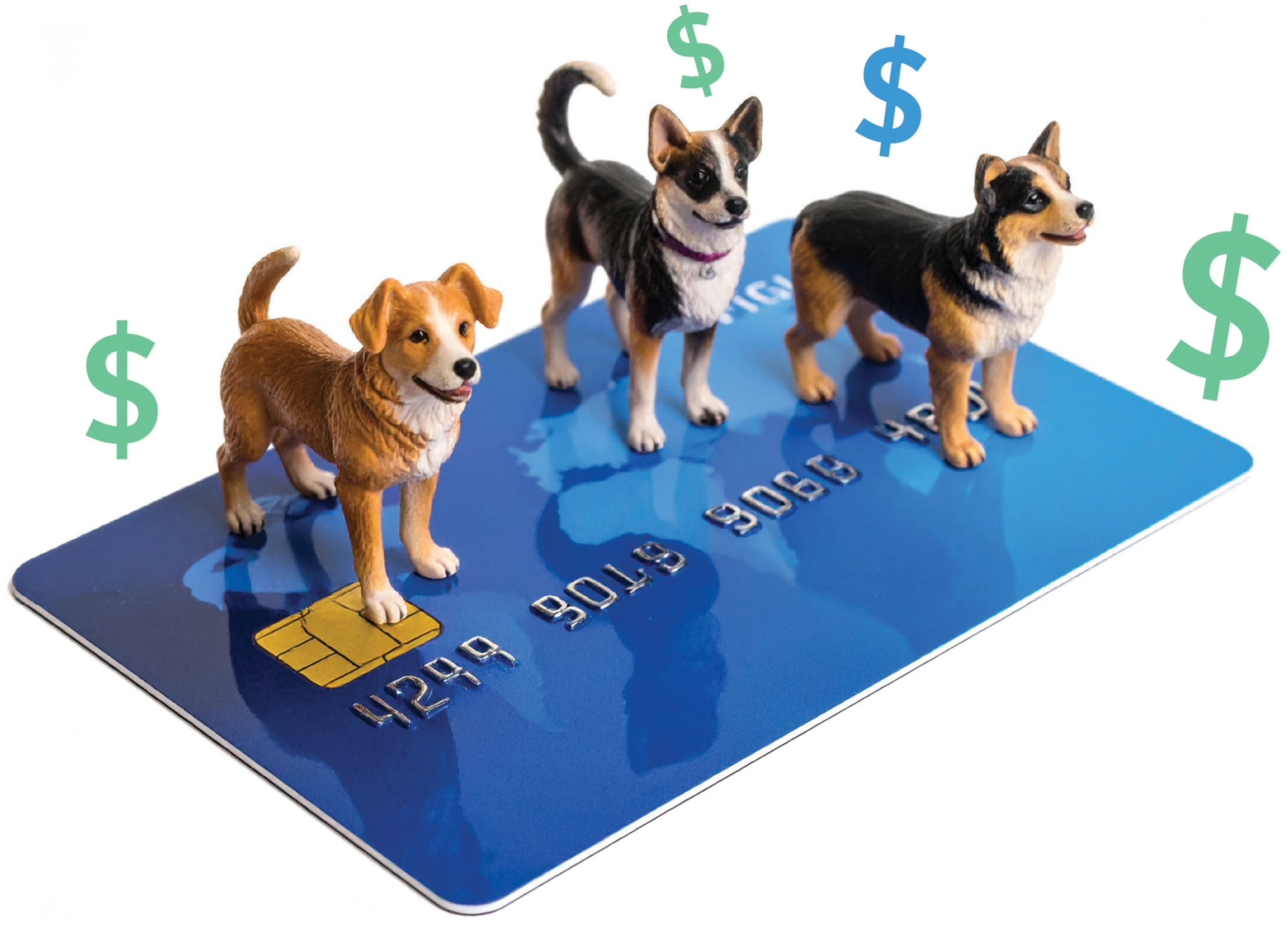 Three small dog figurines stand on a blue credit card, with dollar signs floating above and around them.